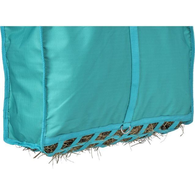 XL Cactus pring Haybag