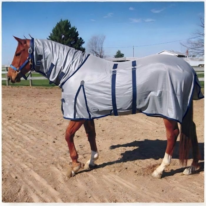 Canadian Horsewear Flysheet w/attached neck