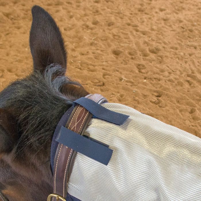 Canadian Horsewear New Detachable Neck flysheets
