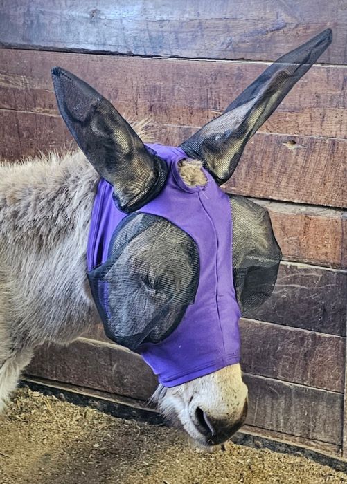 Donkey Flymask