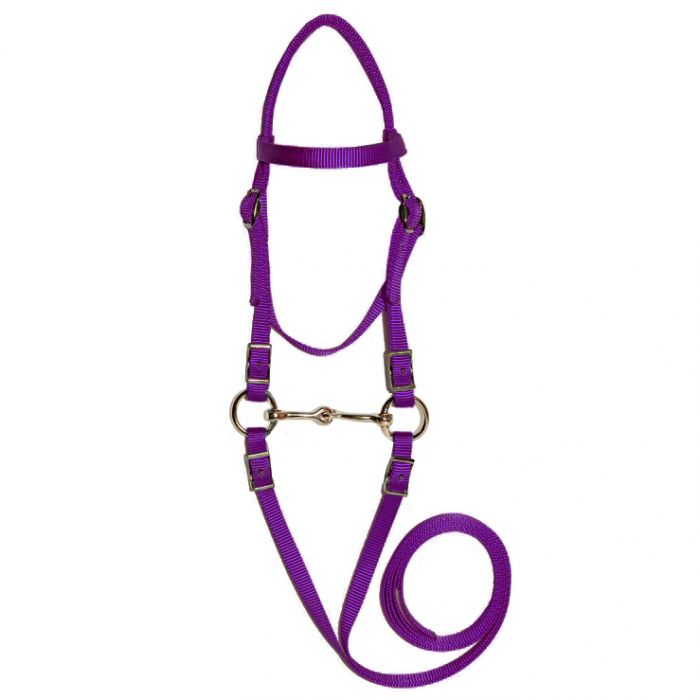 Mini Bridle Bit Reins