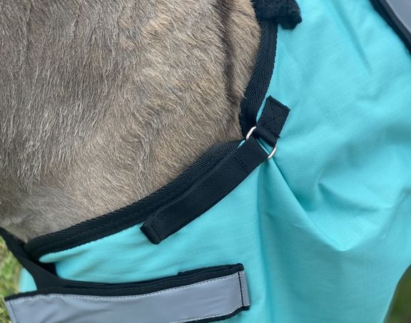 Foal/Donkey Blanket