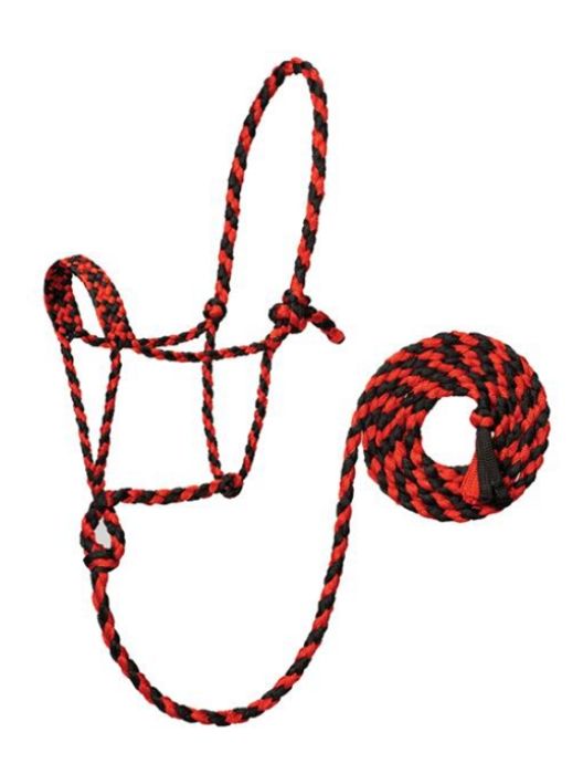 Mule Tape Halter w/10ft lead