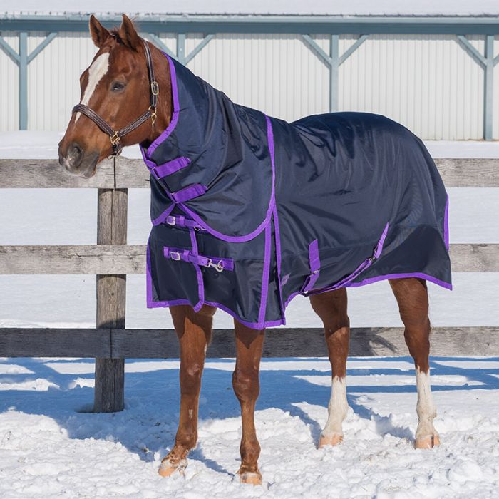 1680 Denier! Canadian Horsewear Winter Turnout 300gm fill w/detachable hood