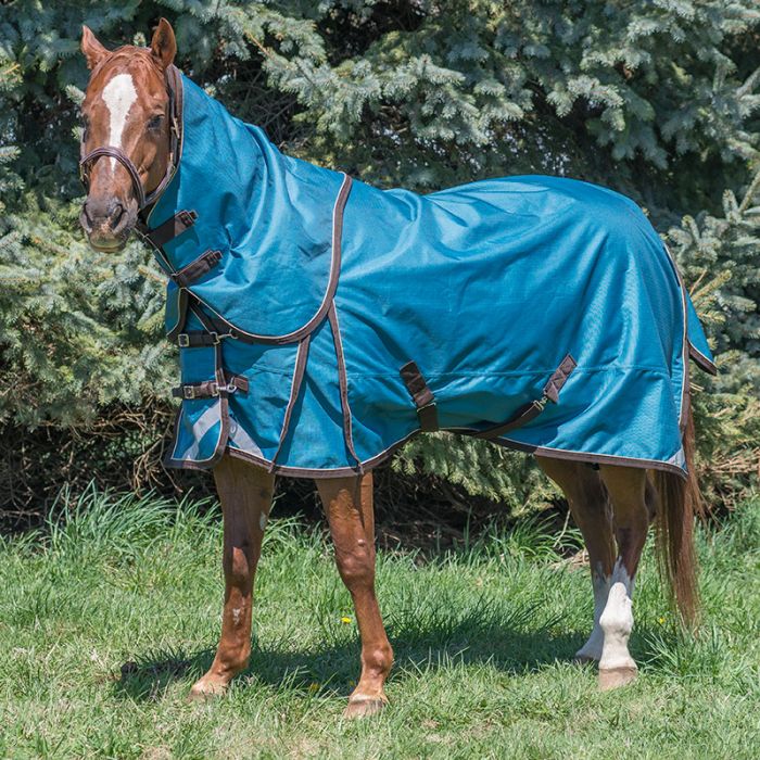 Canadian Horsewear 1200 denier, 300gm fill w/detachable hood