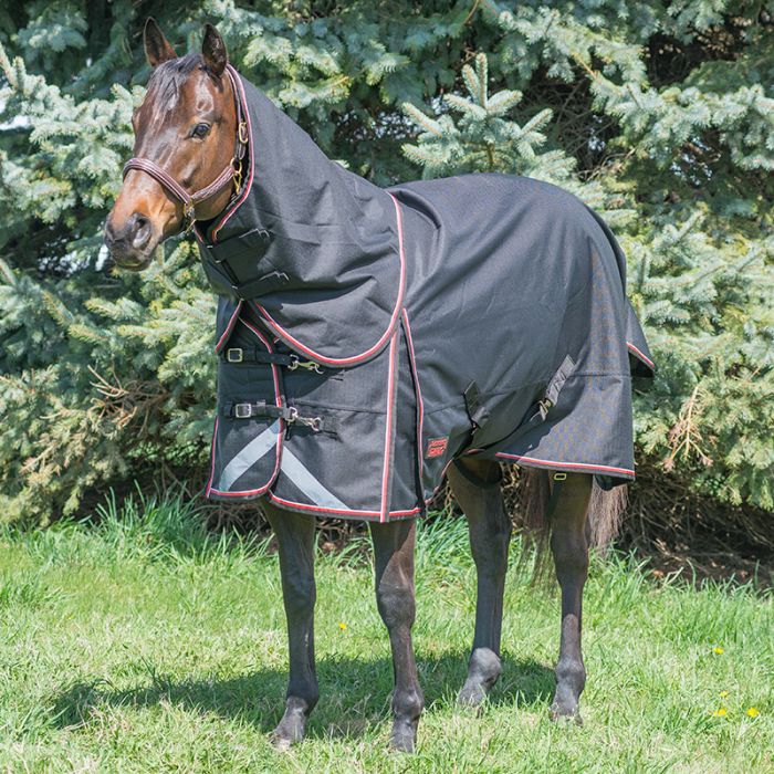 Canadian Horsewear 1200 denier, 300gm fill w/detachable hood