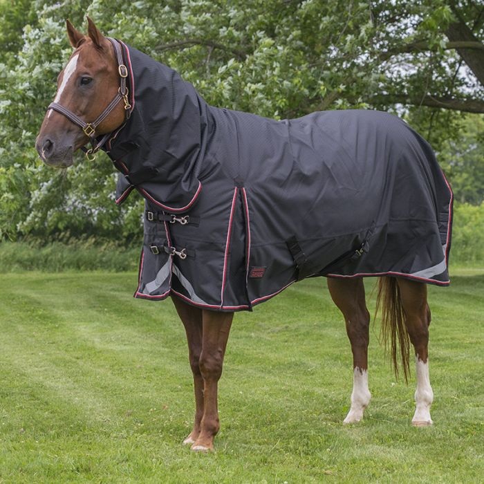 Canadian Horsewear Full body Diablo Turnout 300 gm