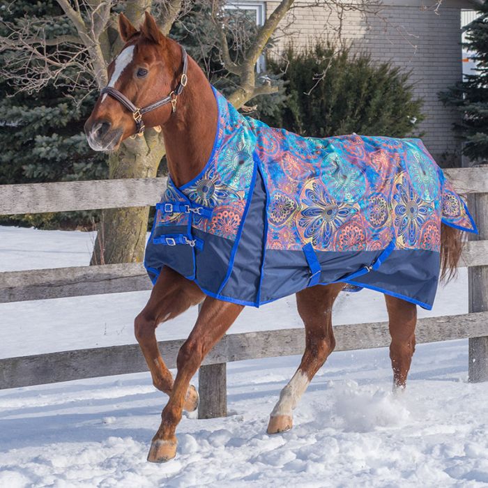 Canadian Horsewear Miniz Winter Turnout Blanket