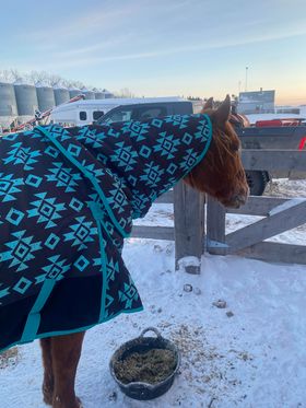 Tech Equestrian 1200 Denier, 300gm fill Winter turnouts