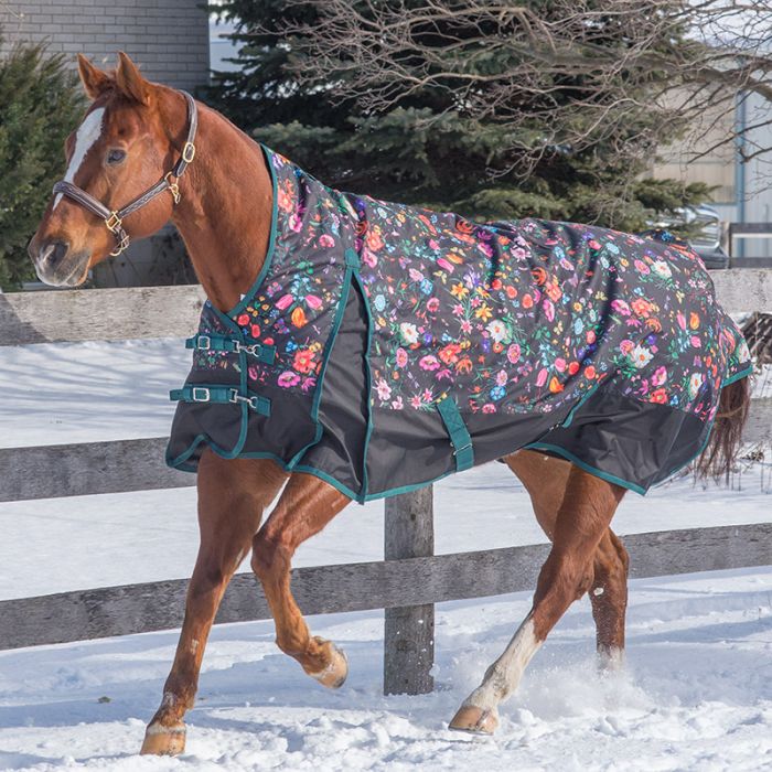 Canadian Horsewear High Neck 1200 denier rainsheets