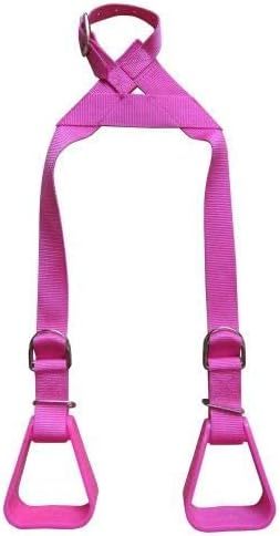 Buddy stirrups