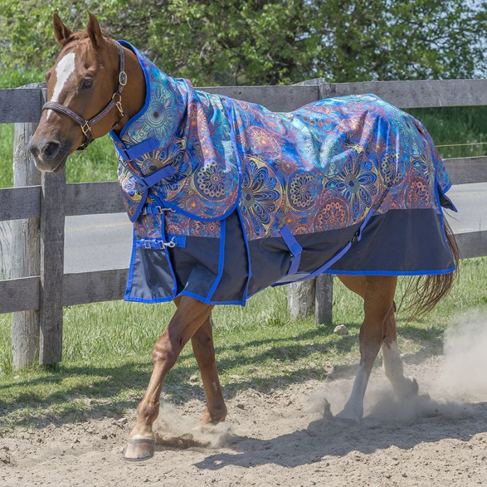 Canadian Horsewear 1200 denier Rainsheet with detachable hood