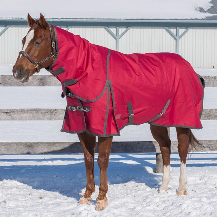 Canadian Horsewear Rosewood Turnout Sheet 300gm fill detachable hood