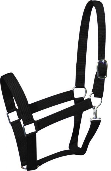 Draft Halter 2"