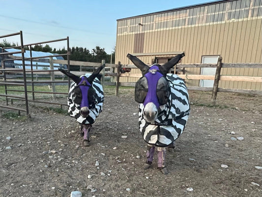 Donkey Flymask