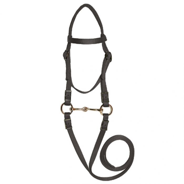 Mini Bridle Bit Reins
