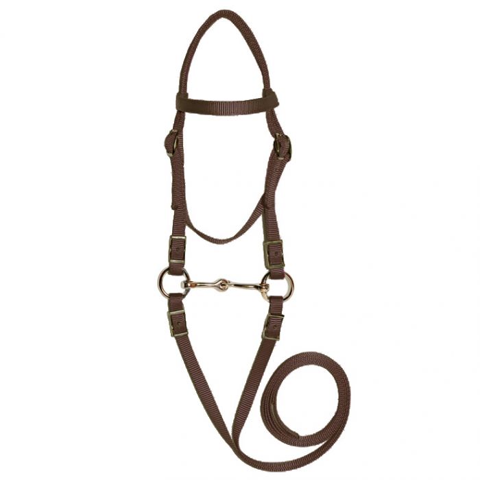 Mini Bridle Bit Reins
