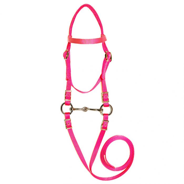 Mini Bridle Bit Reins