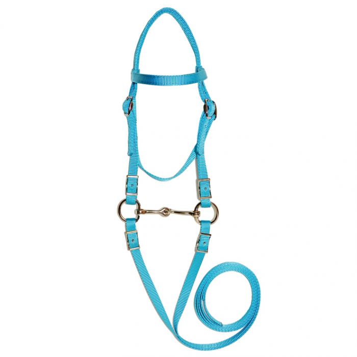 Mini Bridle Bit Reins