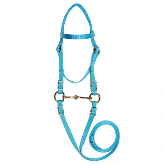 Mini Bridle Bit Reins