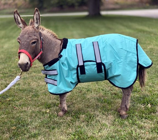 Foal/Donkey Blanket