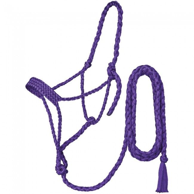 Mule Tape Halter w/10ft lead