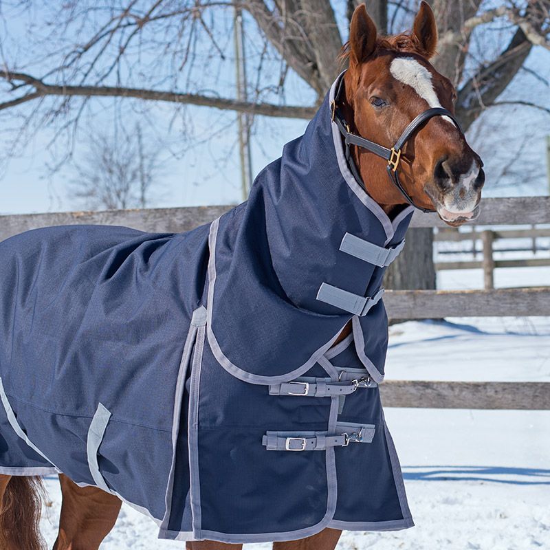 Canadian Horsewear Winter Turnout 160gm fill