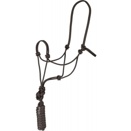 Rope Halters with leads