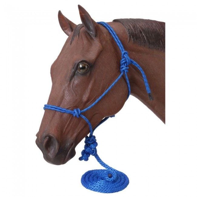 Rope Halters with leads