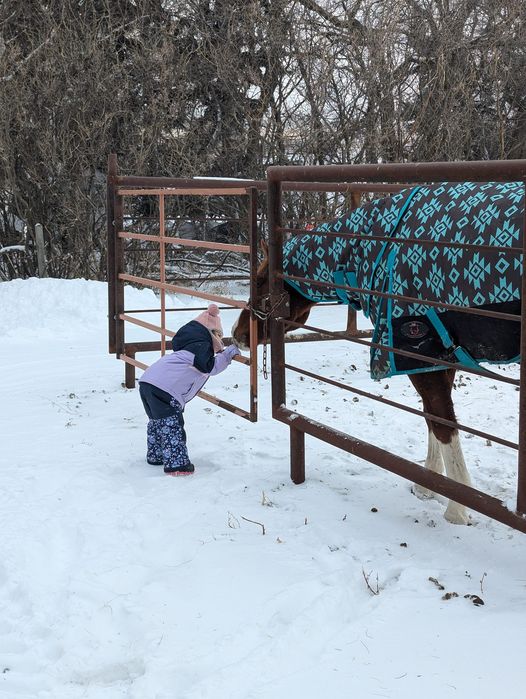 Tech Equestrian 1200 Denier, 300gm fill Winter turnouts