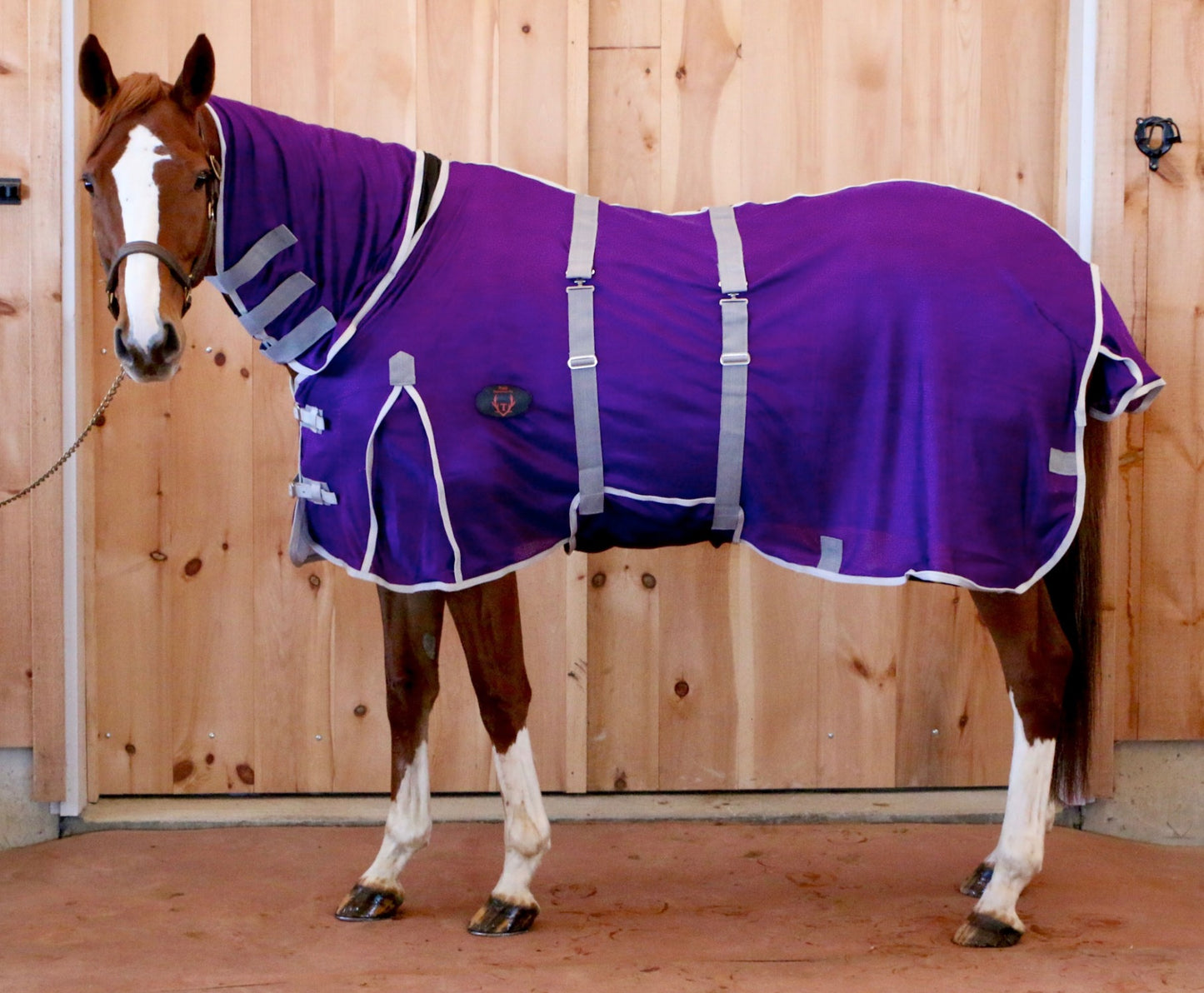 Tech Equestrian Flysheet with attached neck, detachable bellyband