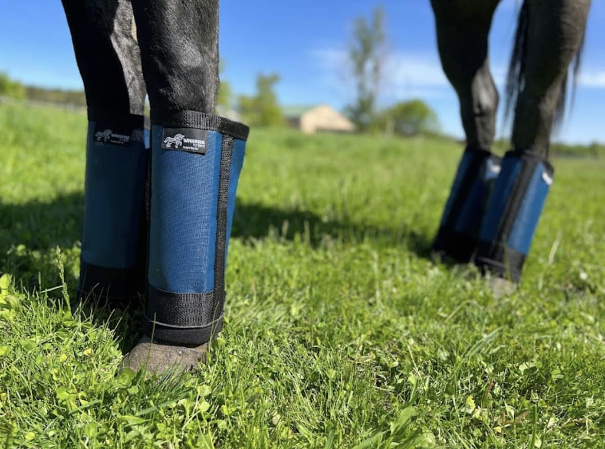 WARRIOR FLYBOOTS!