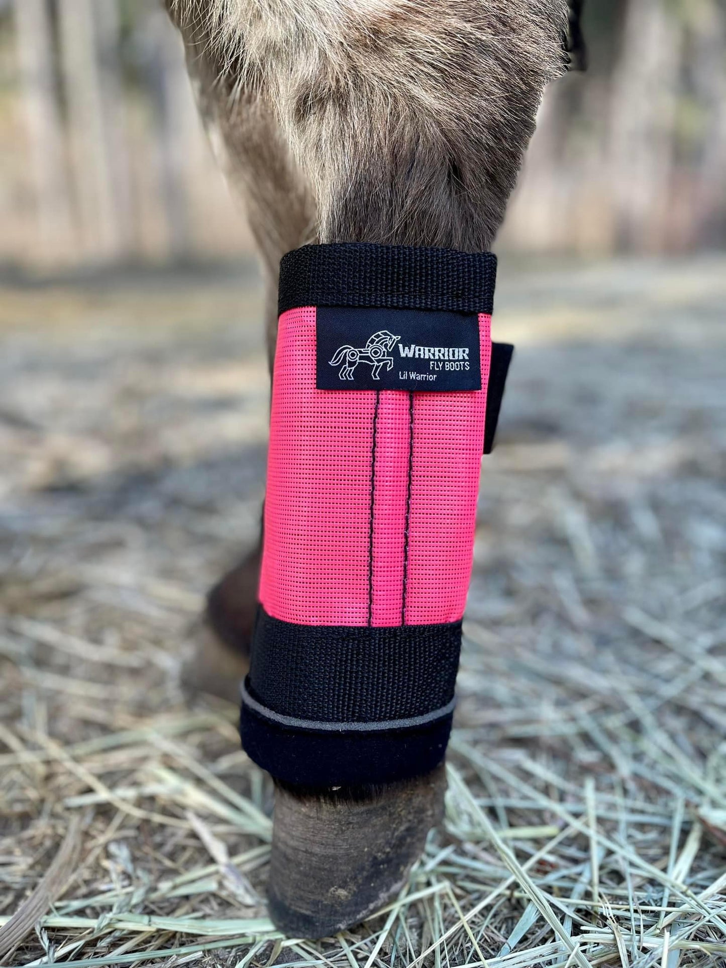 WARRIOR FLYBOOTS!