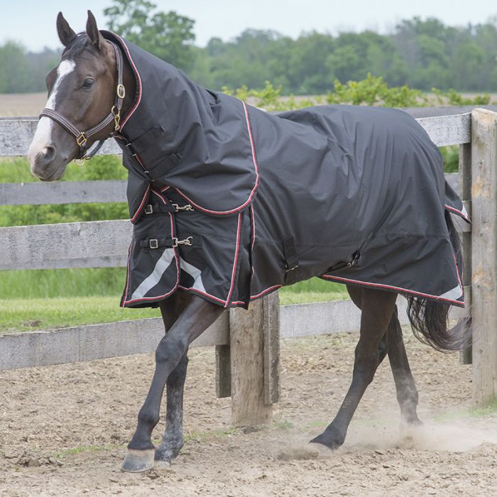 LAST YEARS COLOURS, SALE PRICED! Canadian Horsewear Diablo Turnout 300gm