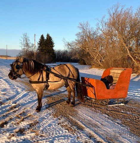 Deluxe Driving Harness