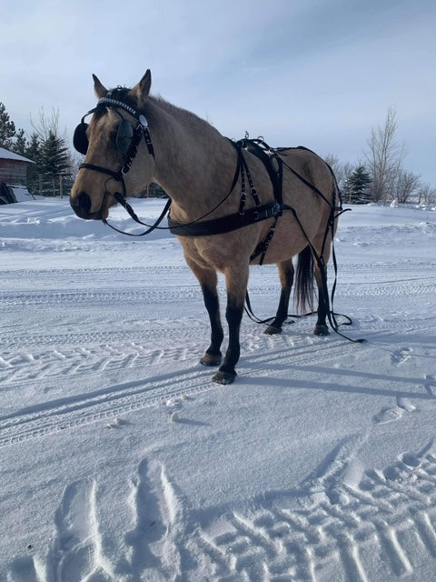 Deluxe Driving Harness