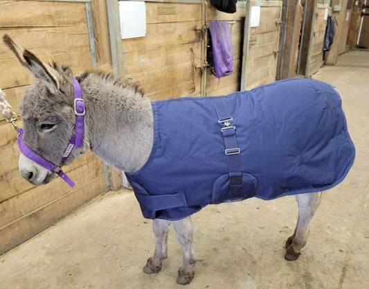 Mini/Foal Winter Turnout