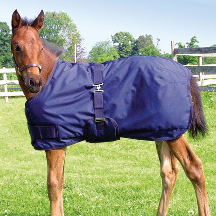Mini/Foal Winter Turnout