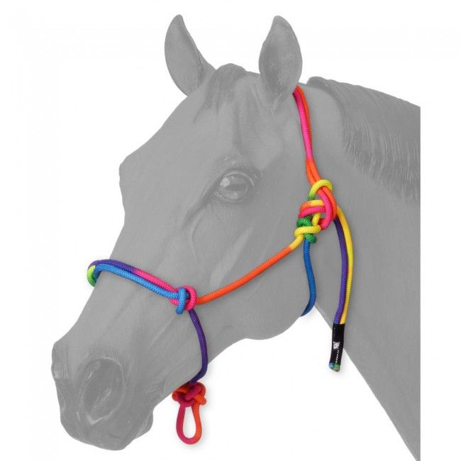 Rainbow Mini Rope Halter w/snap lead