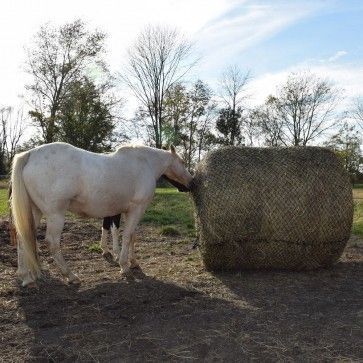 Round bale net