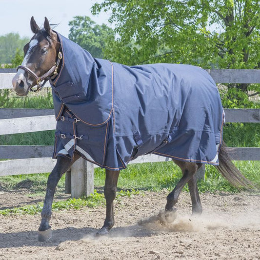 Canadian Horsewear Bronco Diablo Turnout 300gm