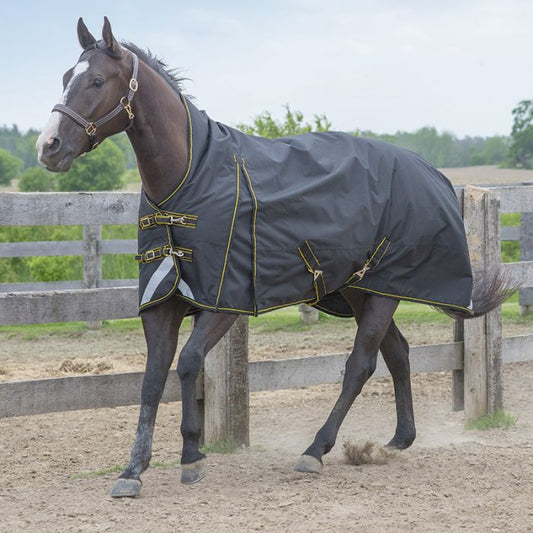 Canadian Horsewear Mamba Turnout Sheet 50 gm